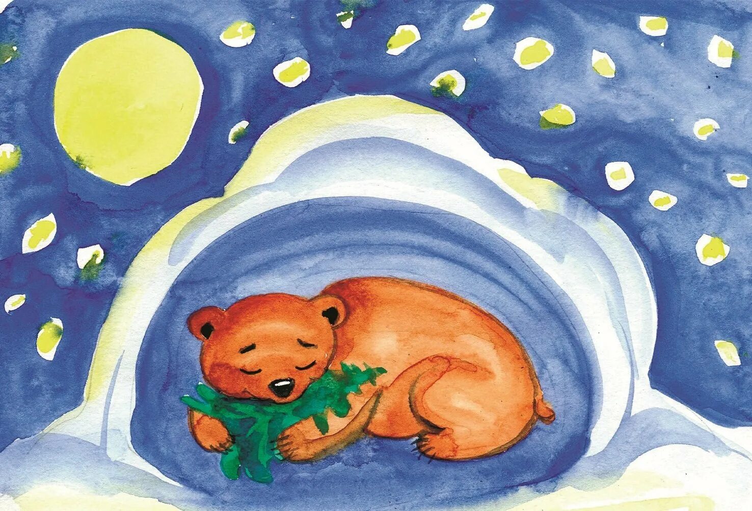Буйная раскраска: почему медведи спят зимой?