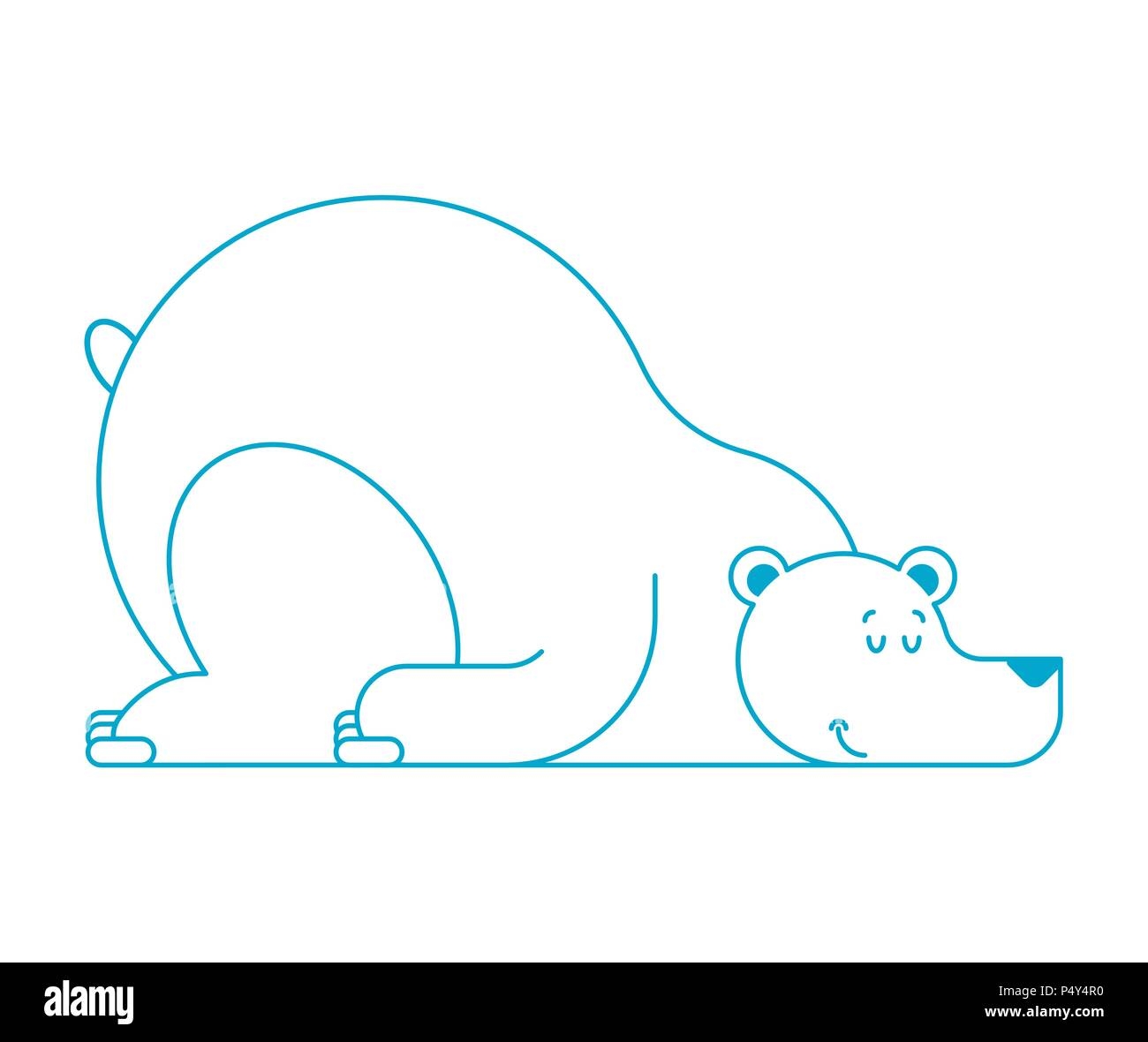 Яркая раскраска: почему медведи спят зимой?