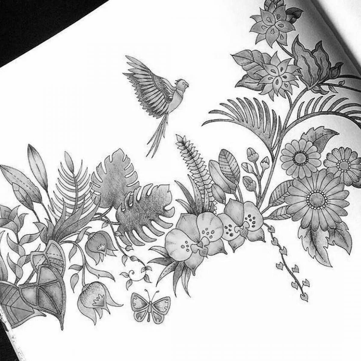 Joanna basford magnanimous coloring amazing jungle