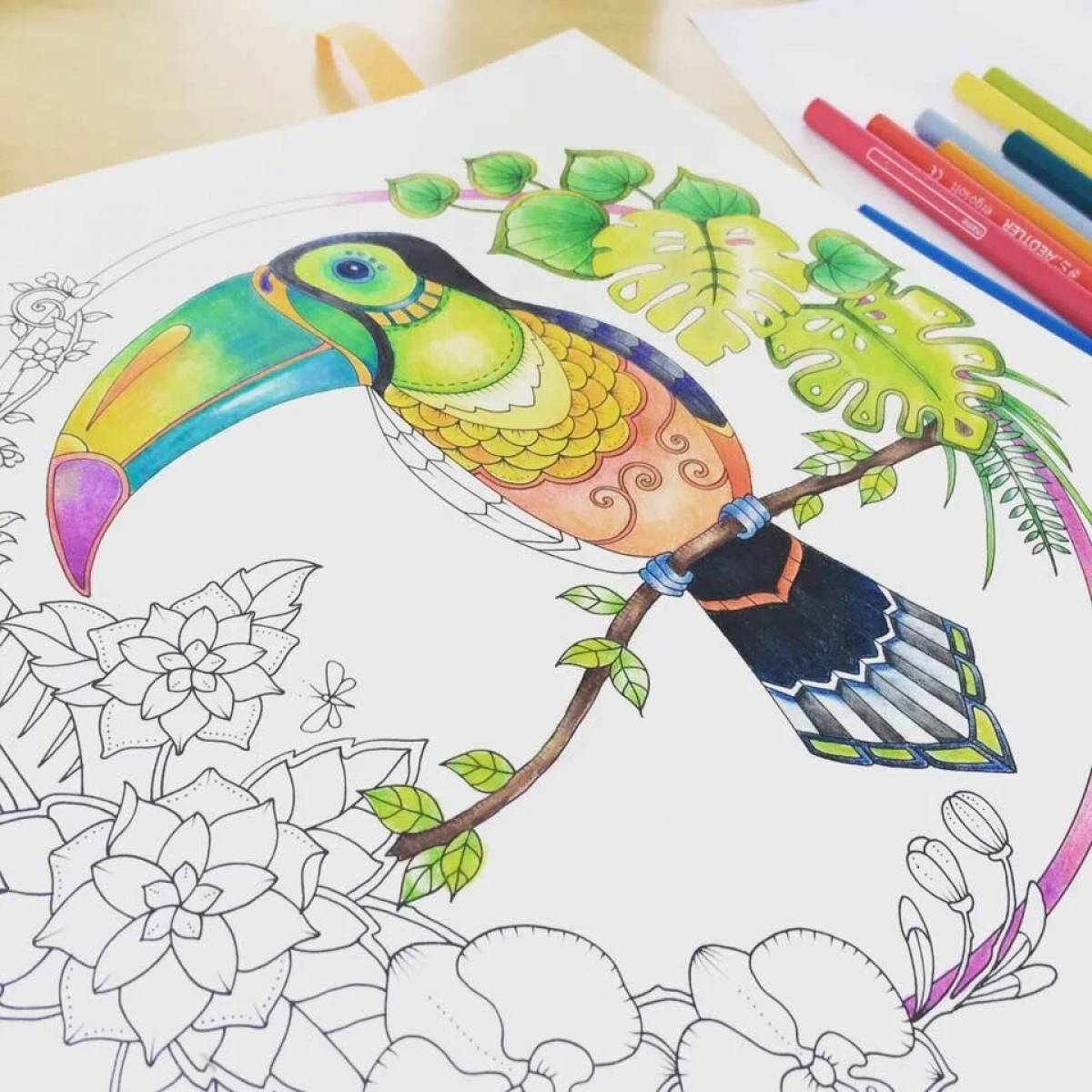 Majestic coloring page джоанна басфорд удивительные джунгли