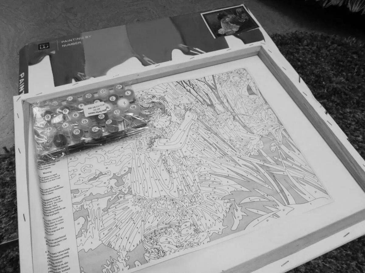 Bold paintings by numbers on canvas