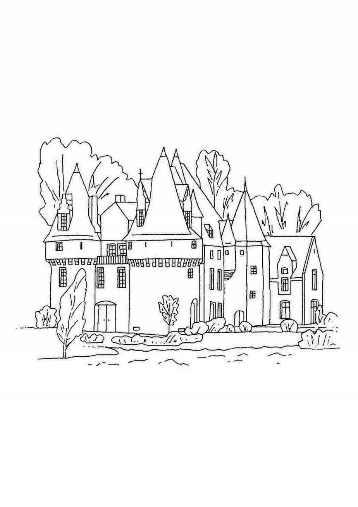Delightful coloring book for girls with houses and castles