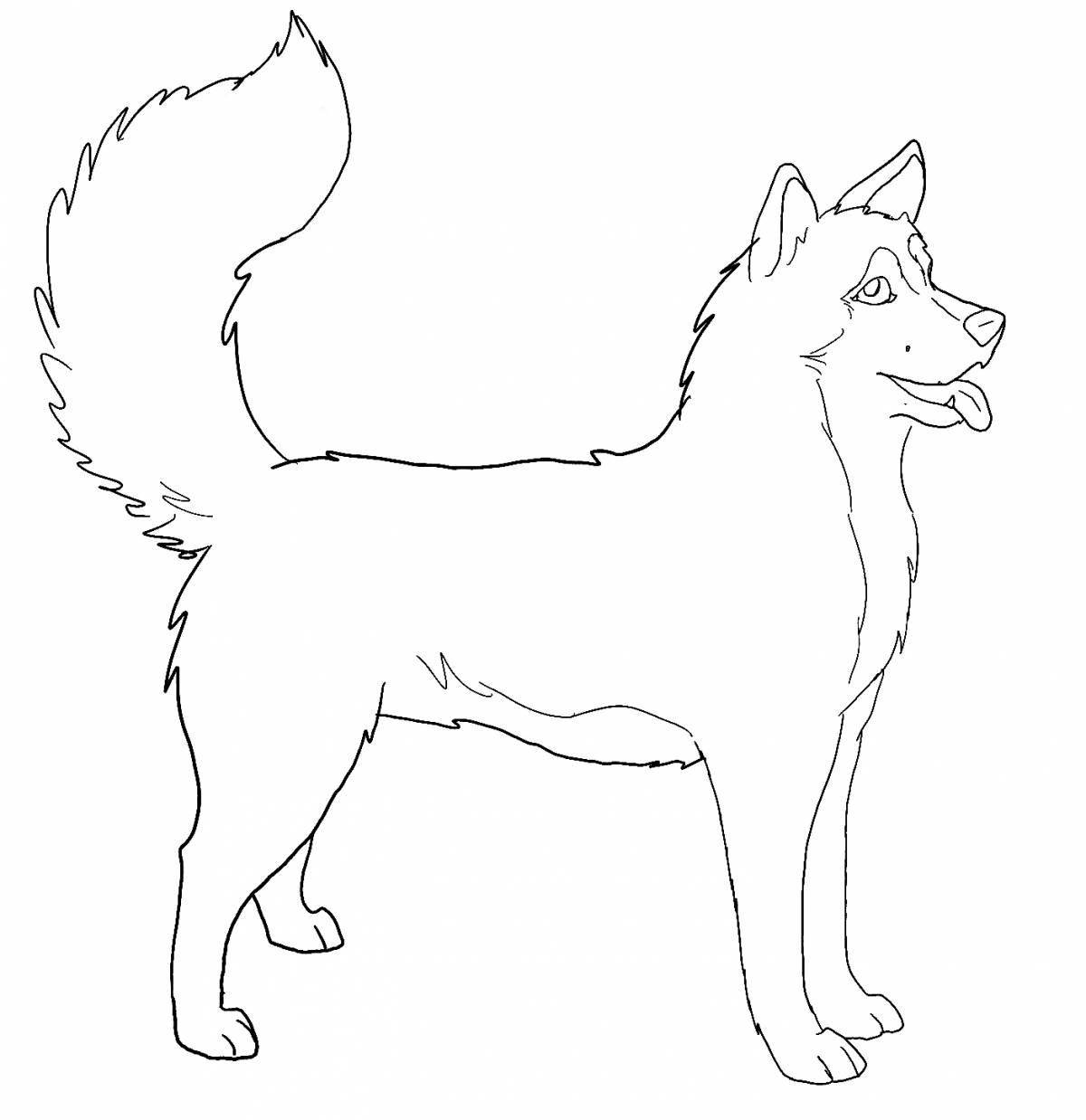Happy coloring page husky bandit and bagel