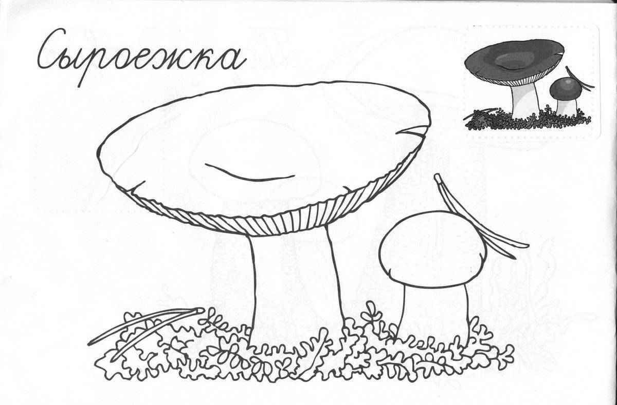 Чудесные грибы-раскраски для детей 3-4 лет
