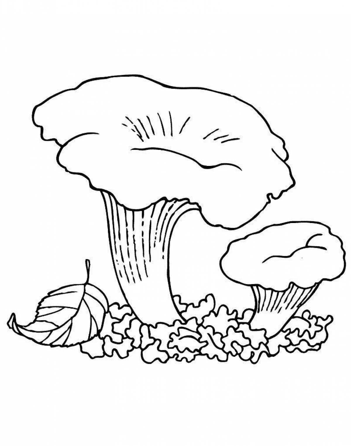 Cute mushroom coloring book for 3-4 year olds