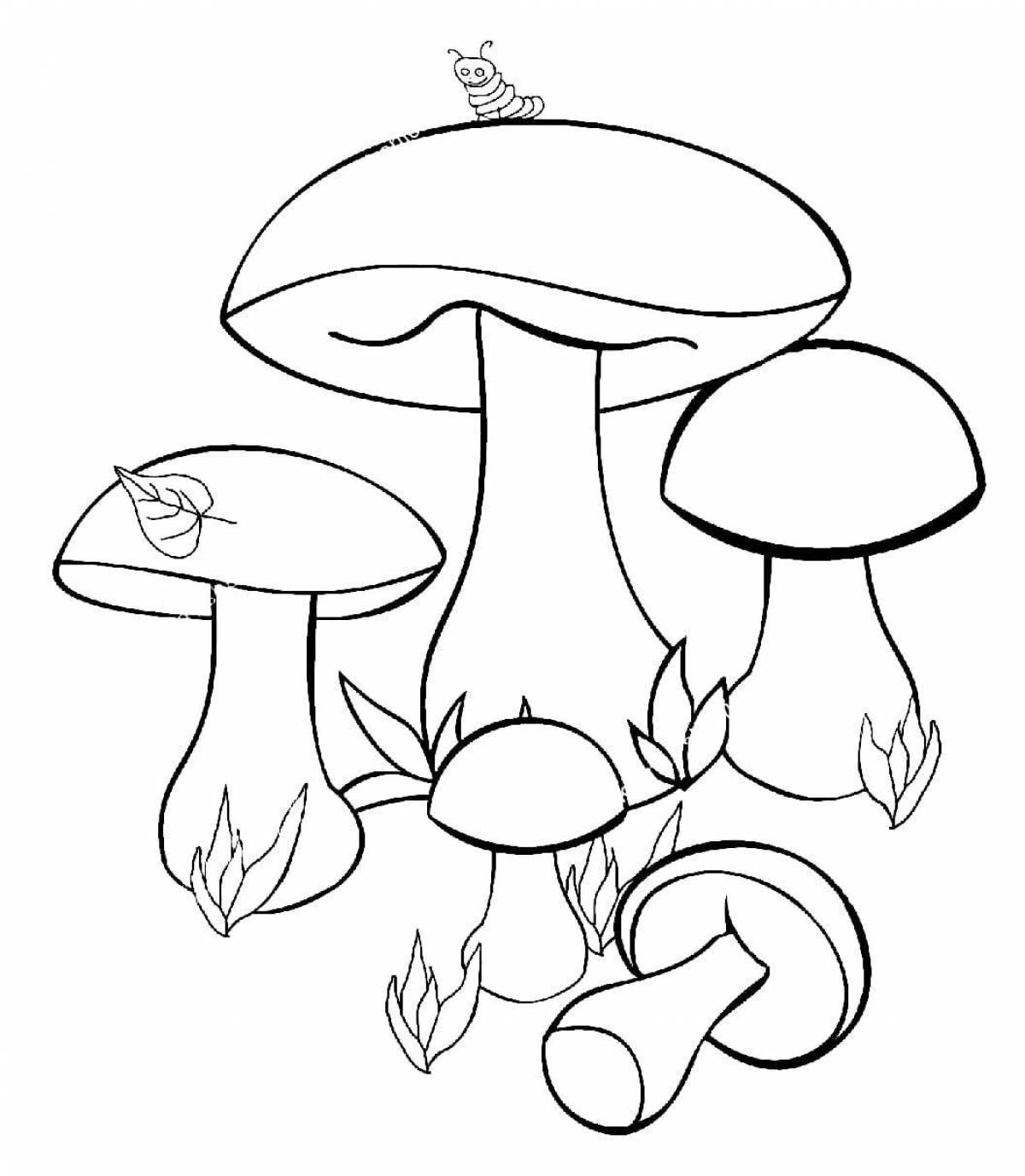 Bright mushroom coloring pages for 3-4 year olds