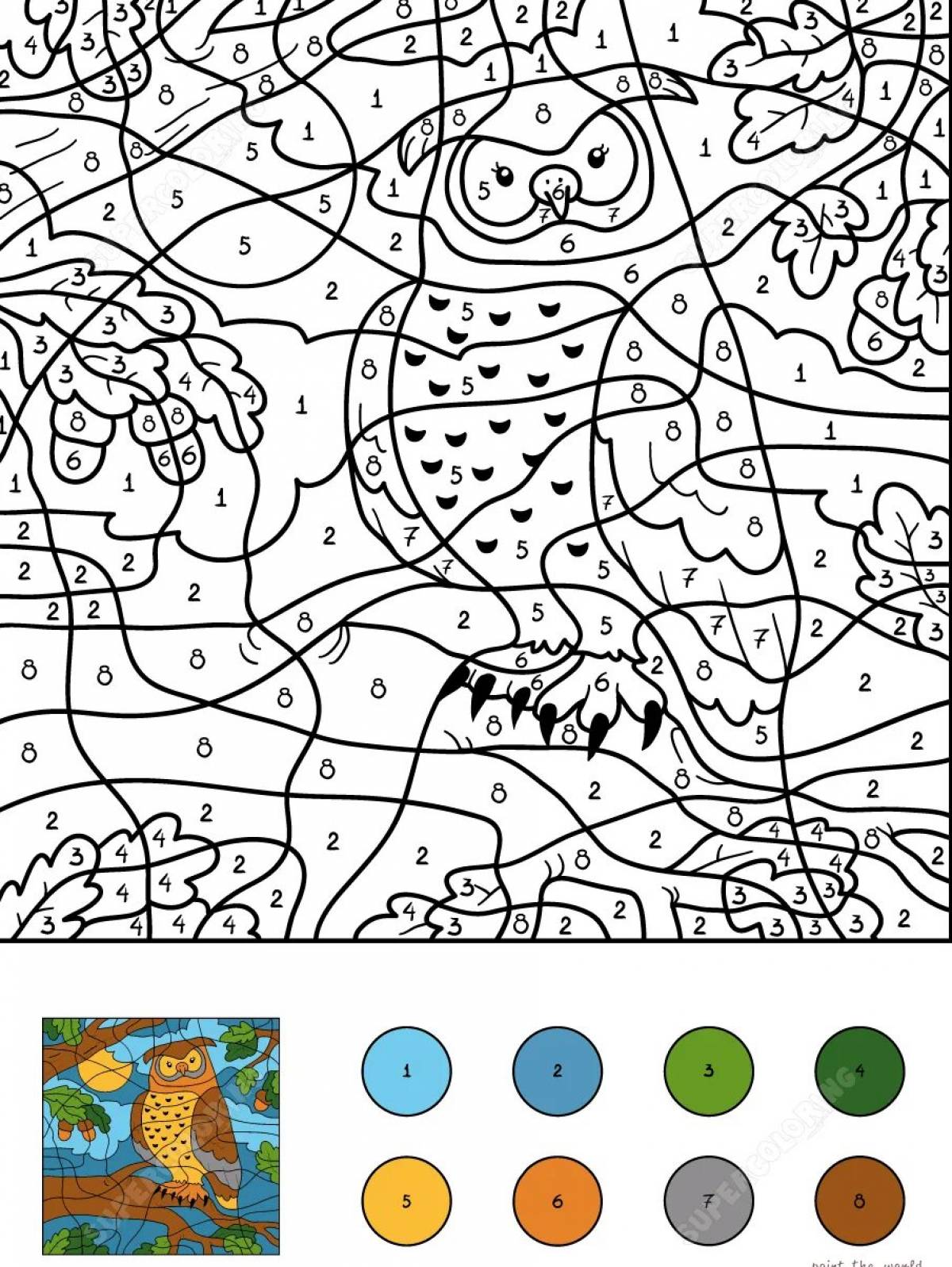 Humorous coloring by numbers your photo