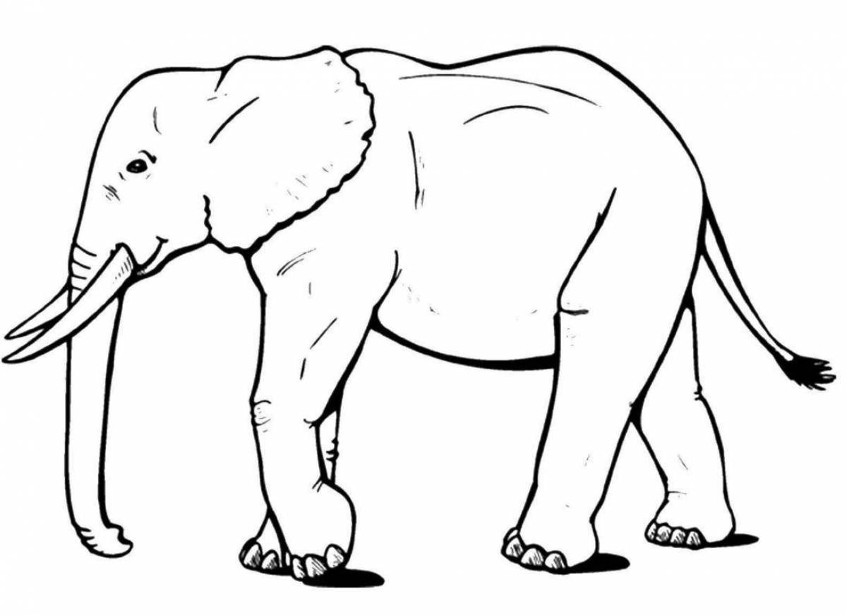 Amazing coloring pages of animals from hot countries