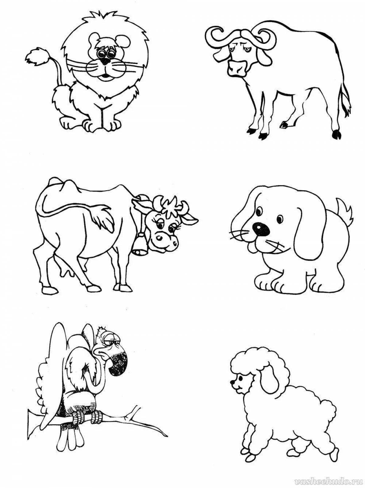 Playful coloring of pets