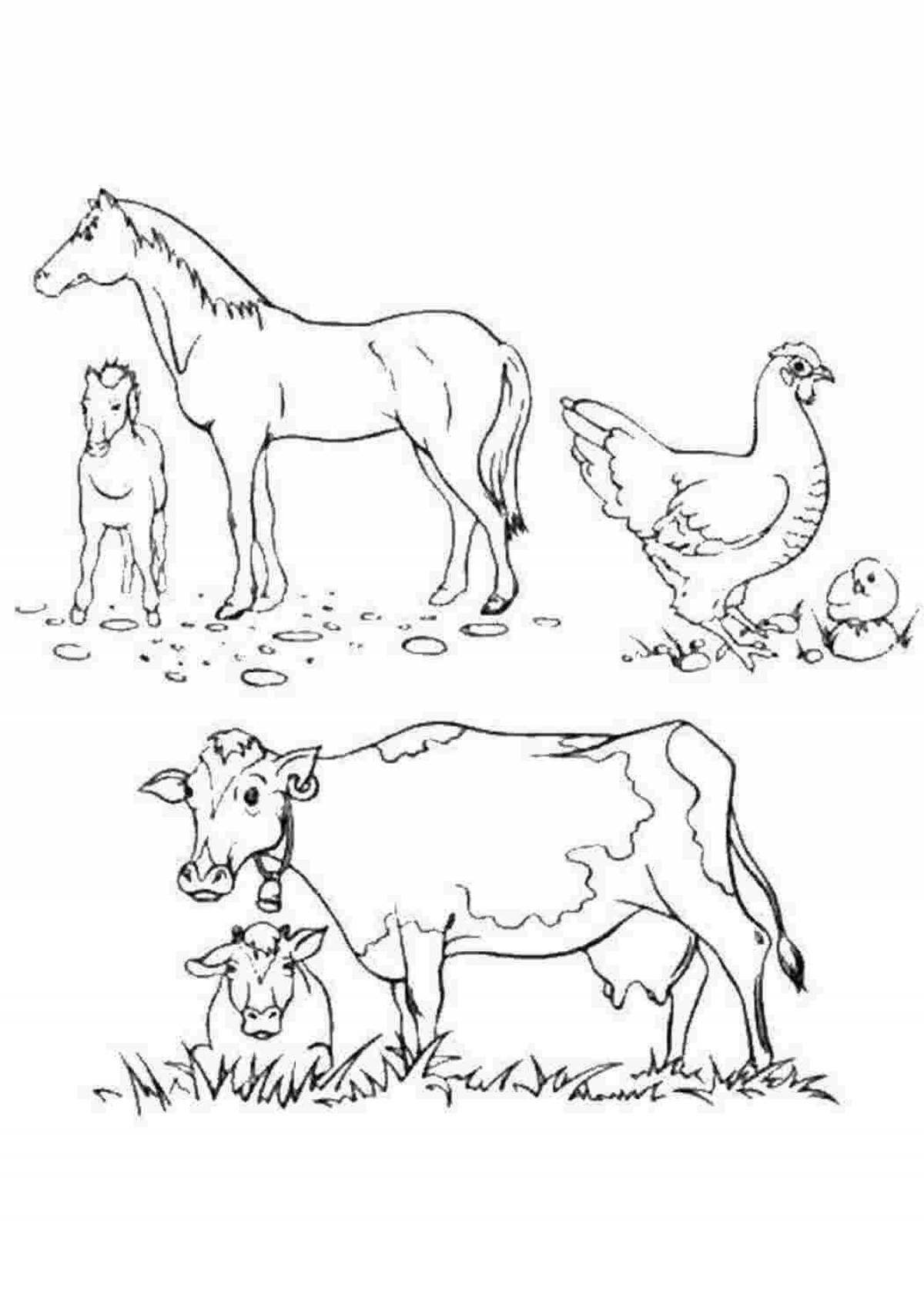 Fun pet coloring pages