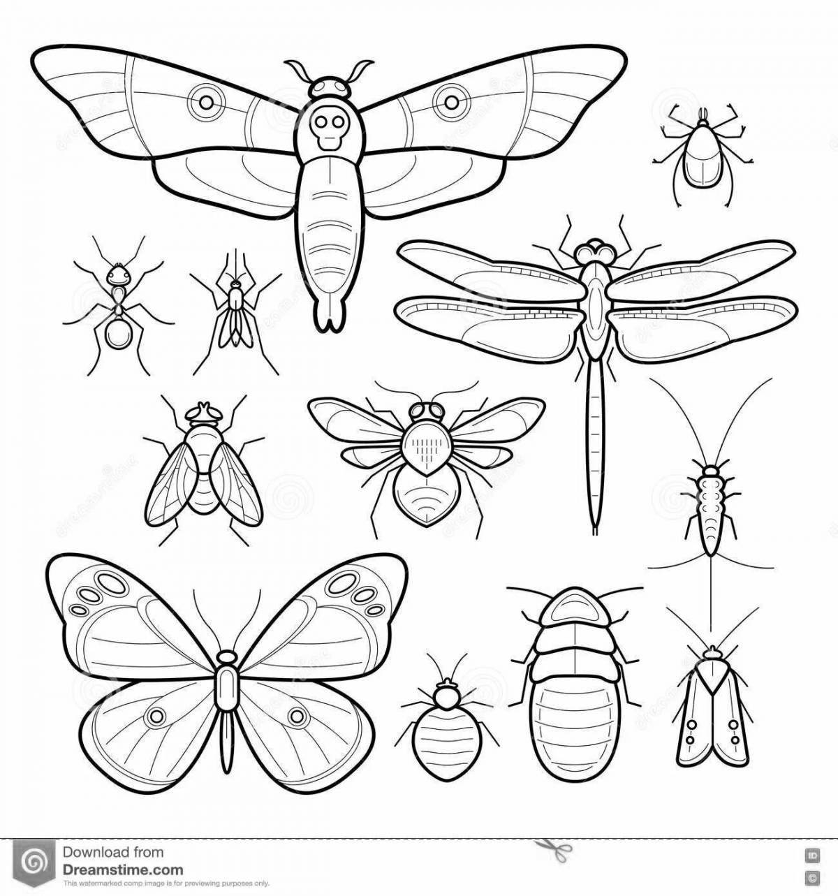 Fun coloring of the insect class