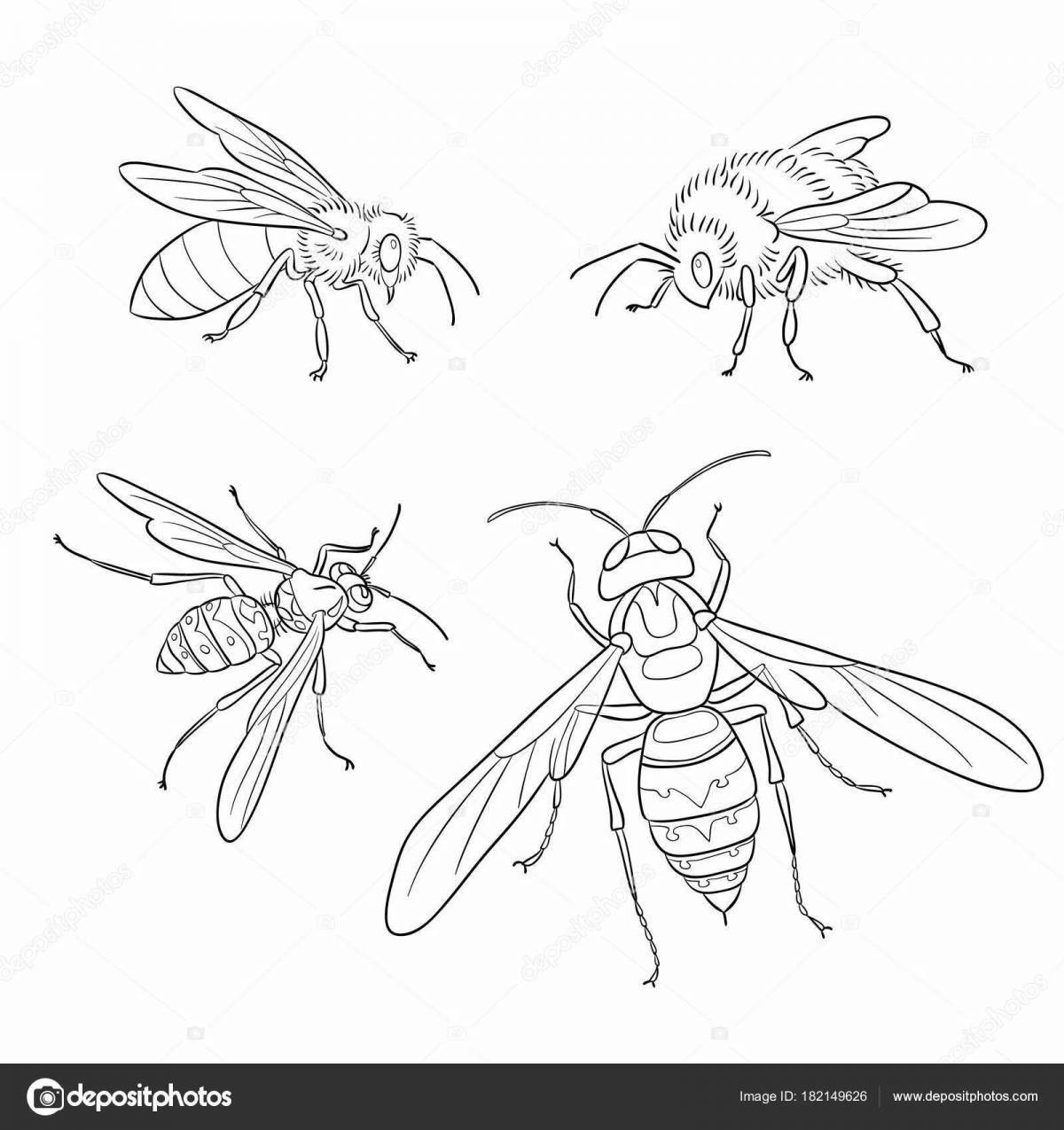 Playful coloring of the insect class