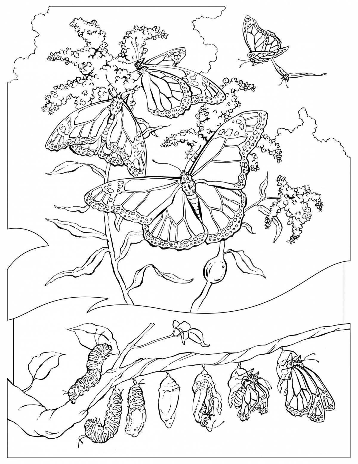 Exquisite insect class coloring book