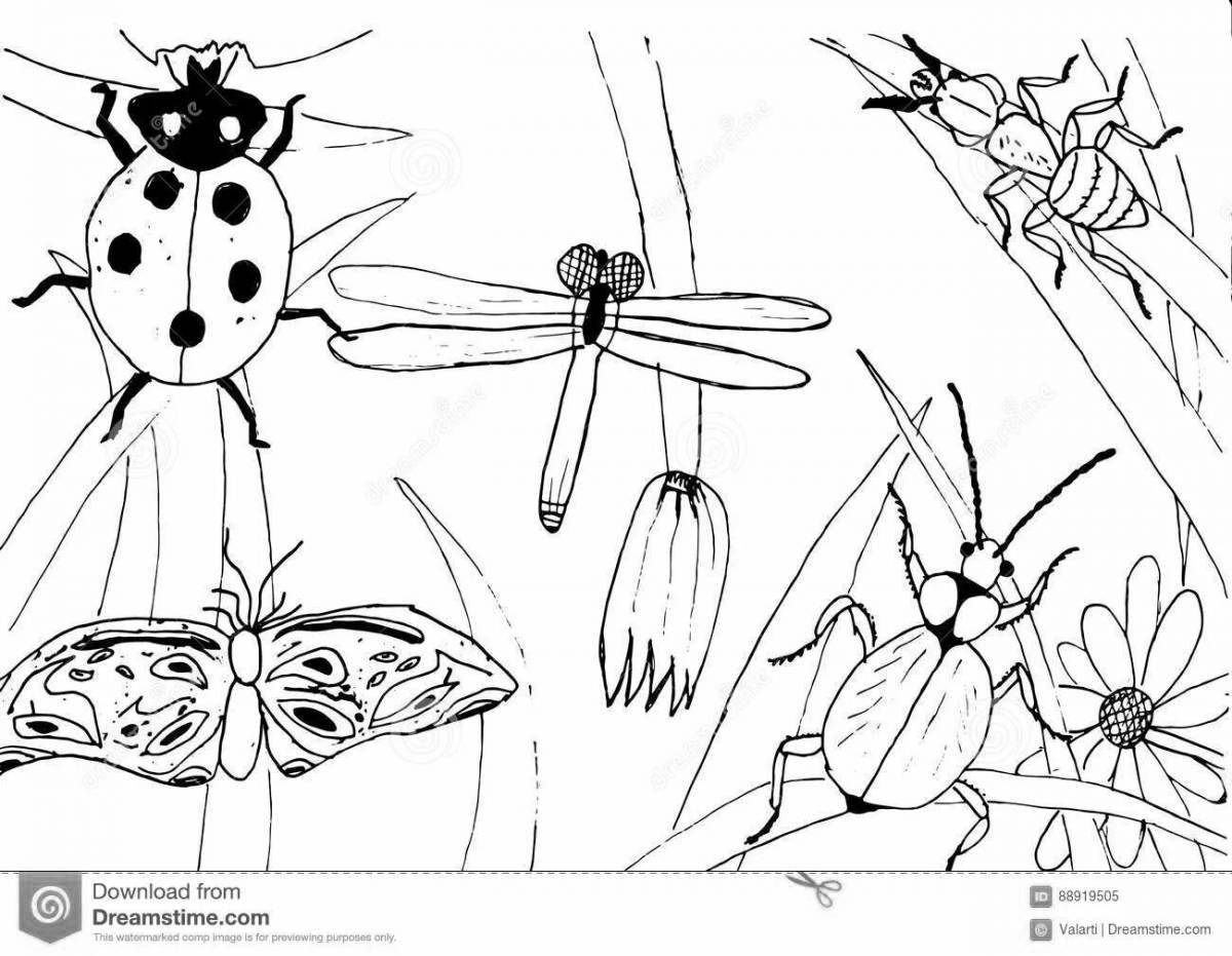 Tempting insect class coloring