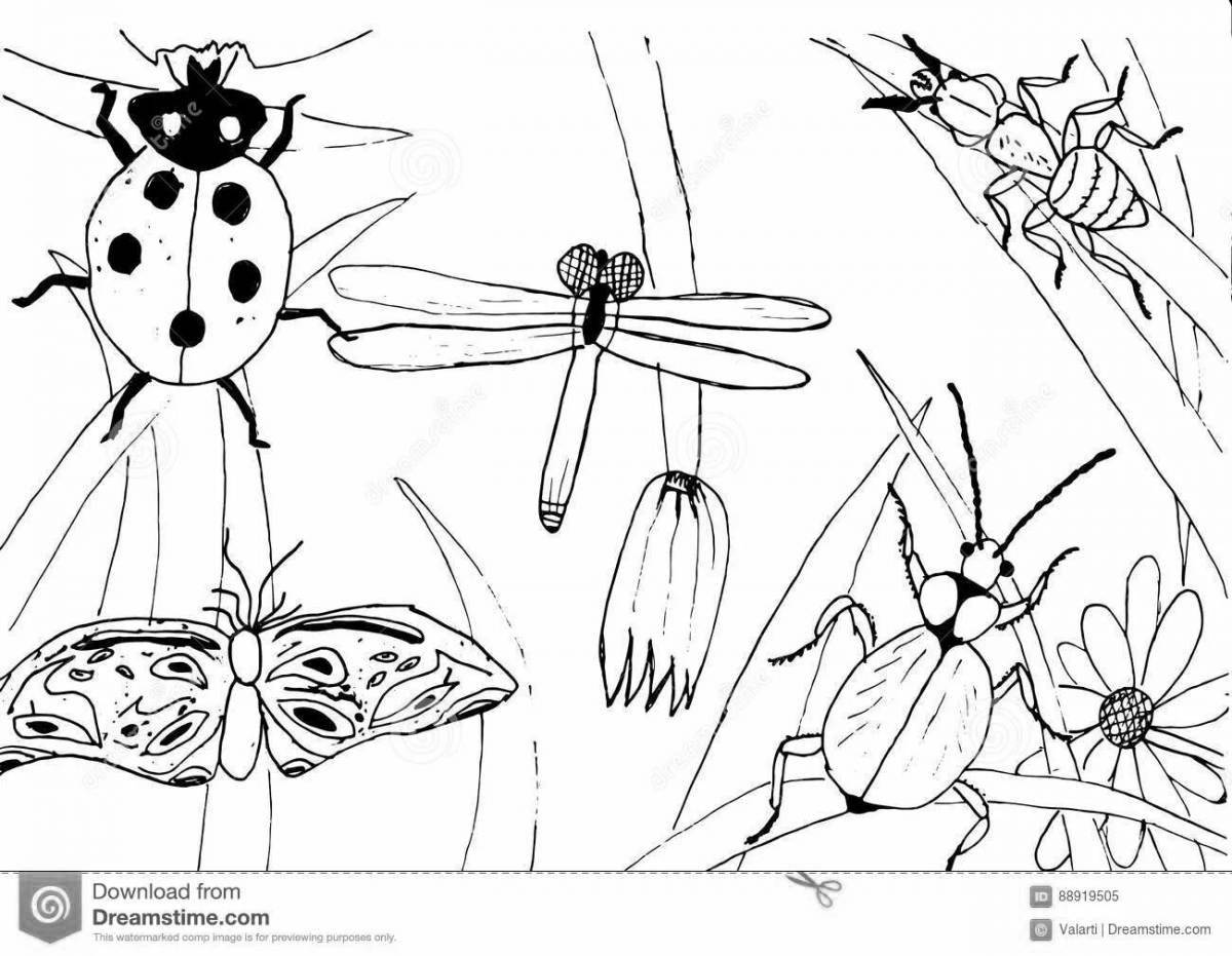 Заманчивая раскраска класса насекомых