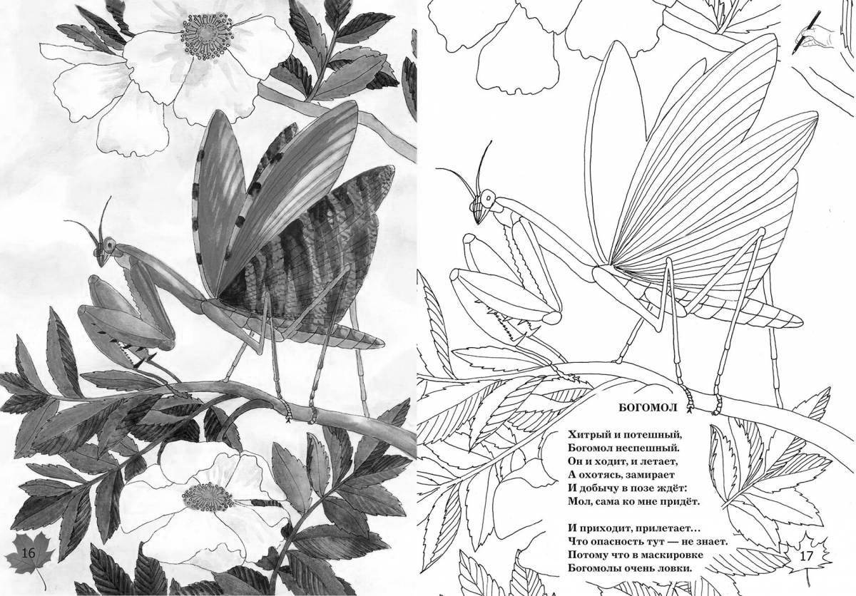Cute insect class coloring book