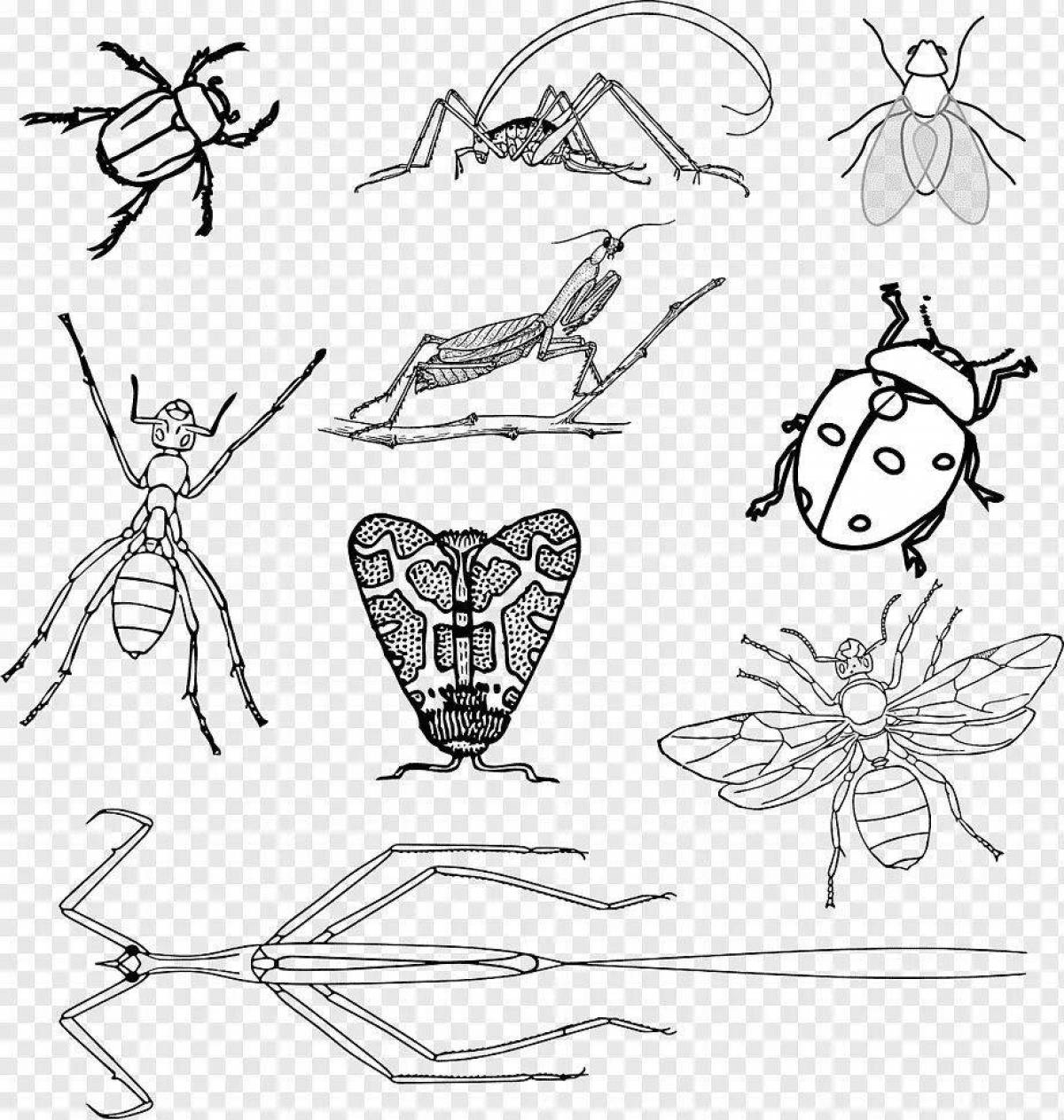 Intelligent coloring of the insect class