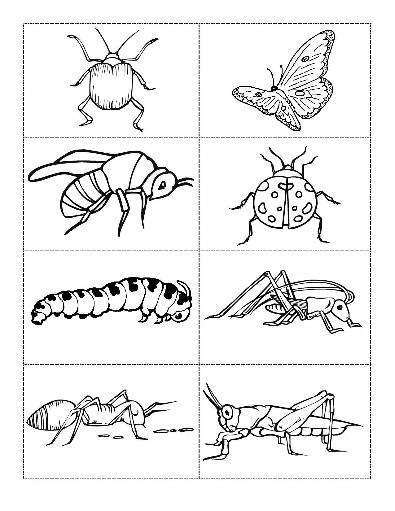 Окружающий мир 1 класс насекомые #6
