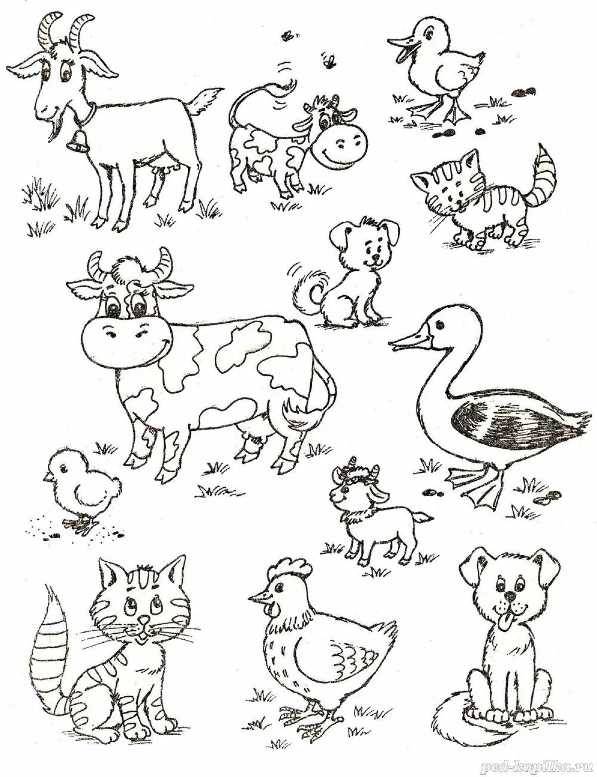 Яркая страница раскраски домашних животных