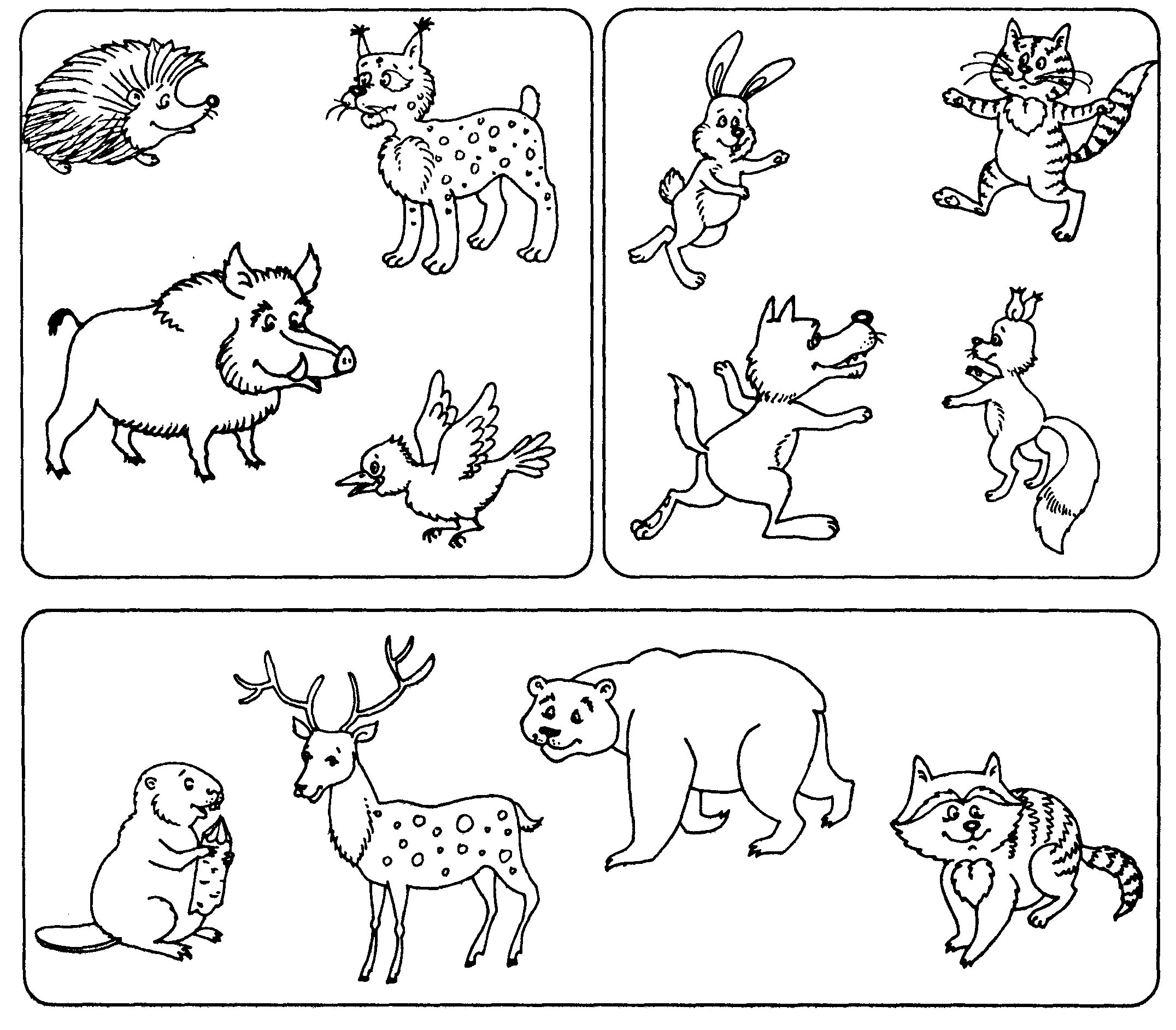 Exotic wild animal coloring page