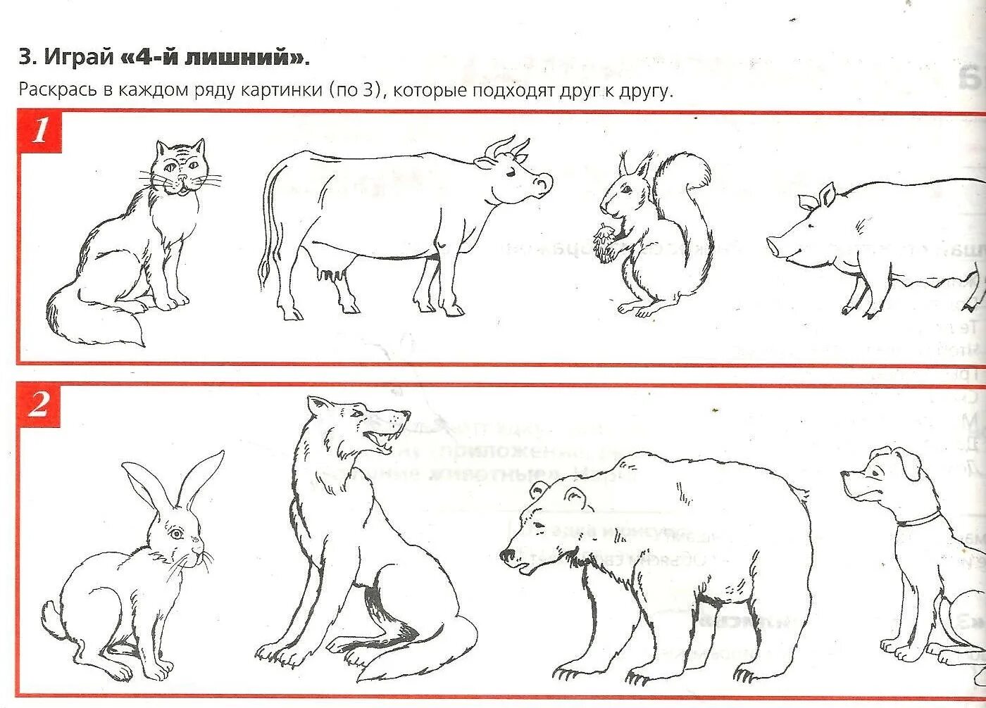 Funny pet coloring book