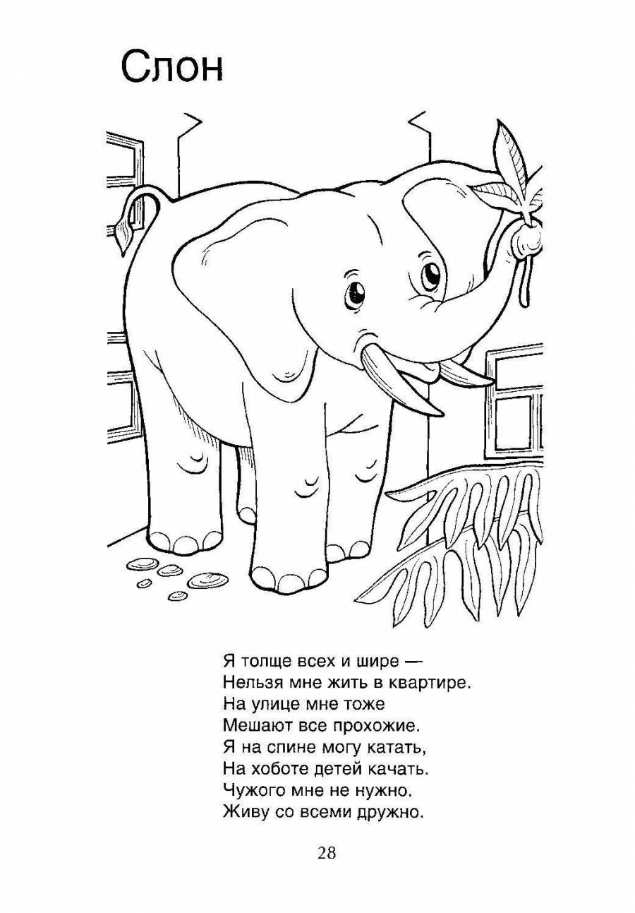 Стих про слона
