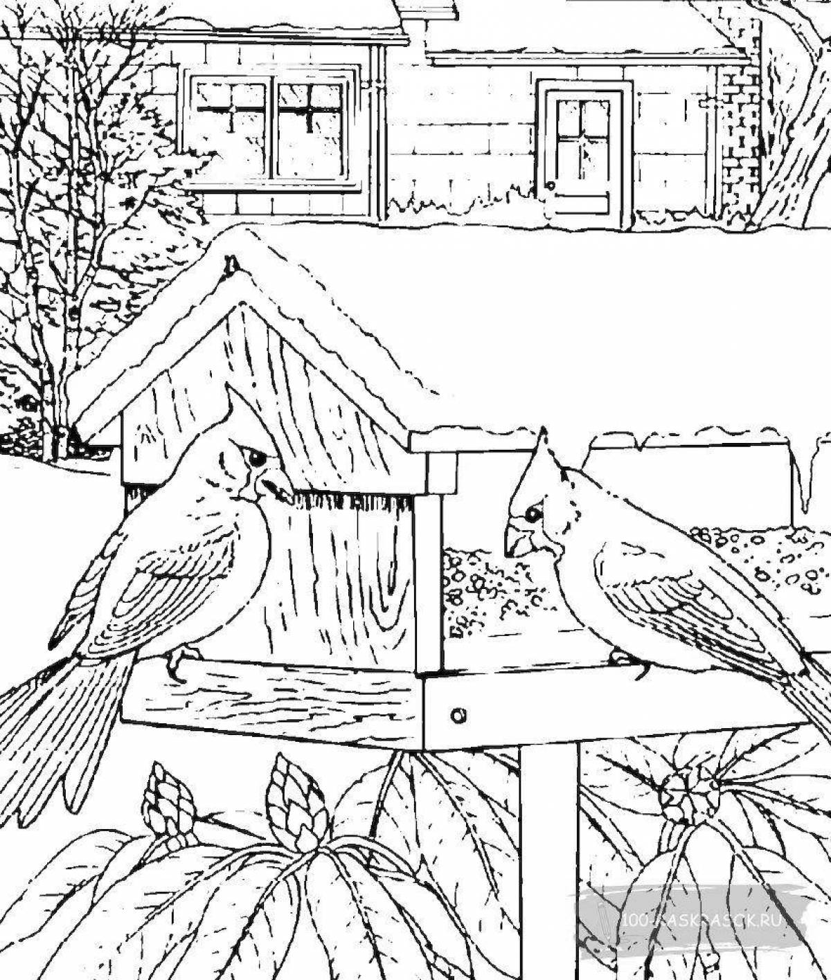 Calm down children feeding birds in the winter at the feeder