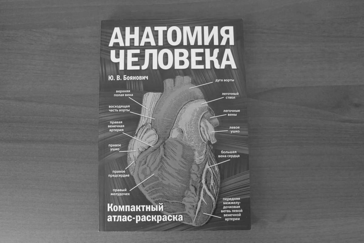 Проницательный атлас анатомии человека pdf