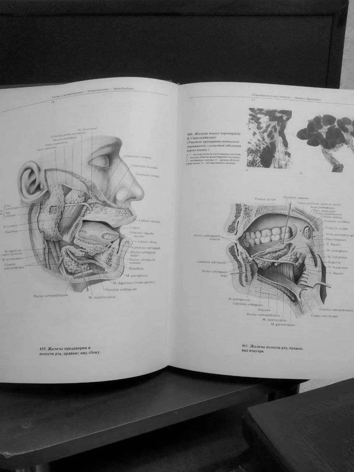 Изысканный атлас анатомии человека pdf