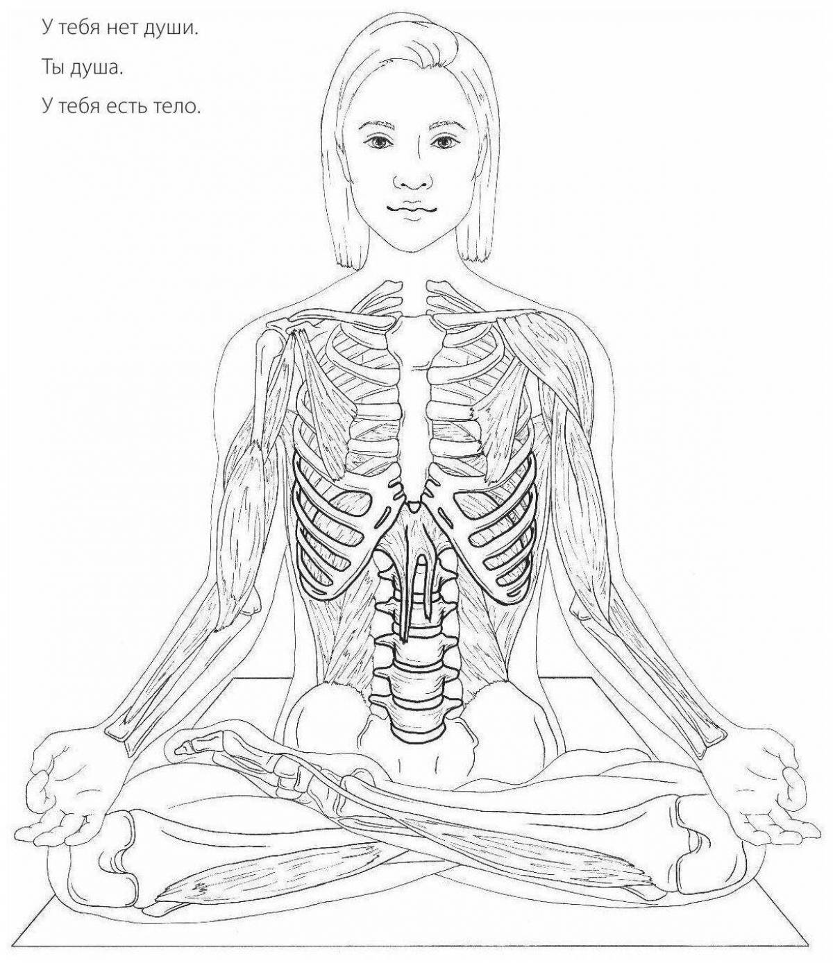 Блестящий атлас анатомии человека pdf