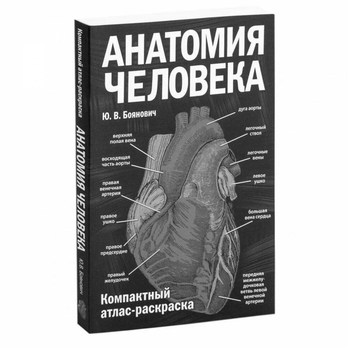 Атлас анатомия человека pdf #8