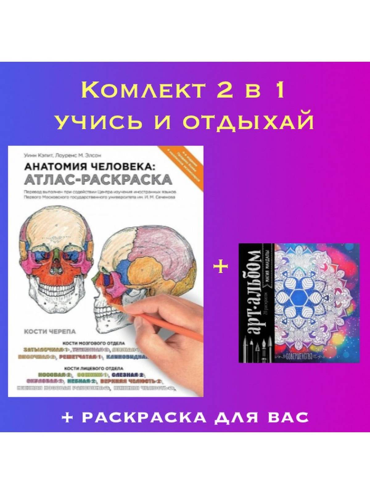 Атлас анатомия человека pdf #17