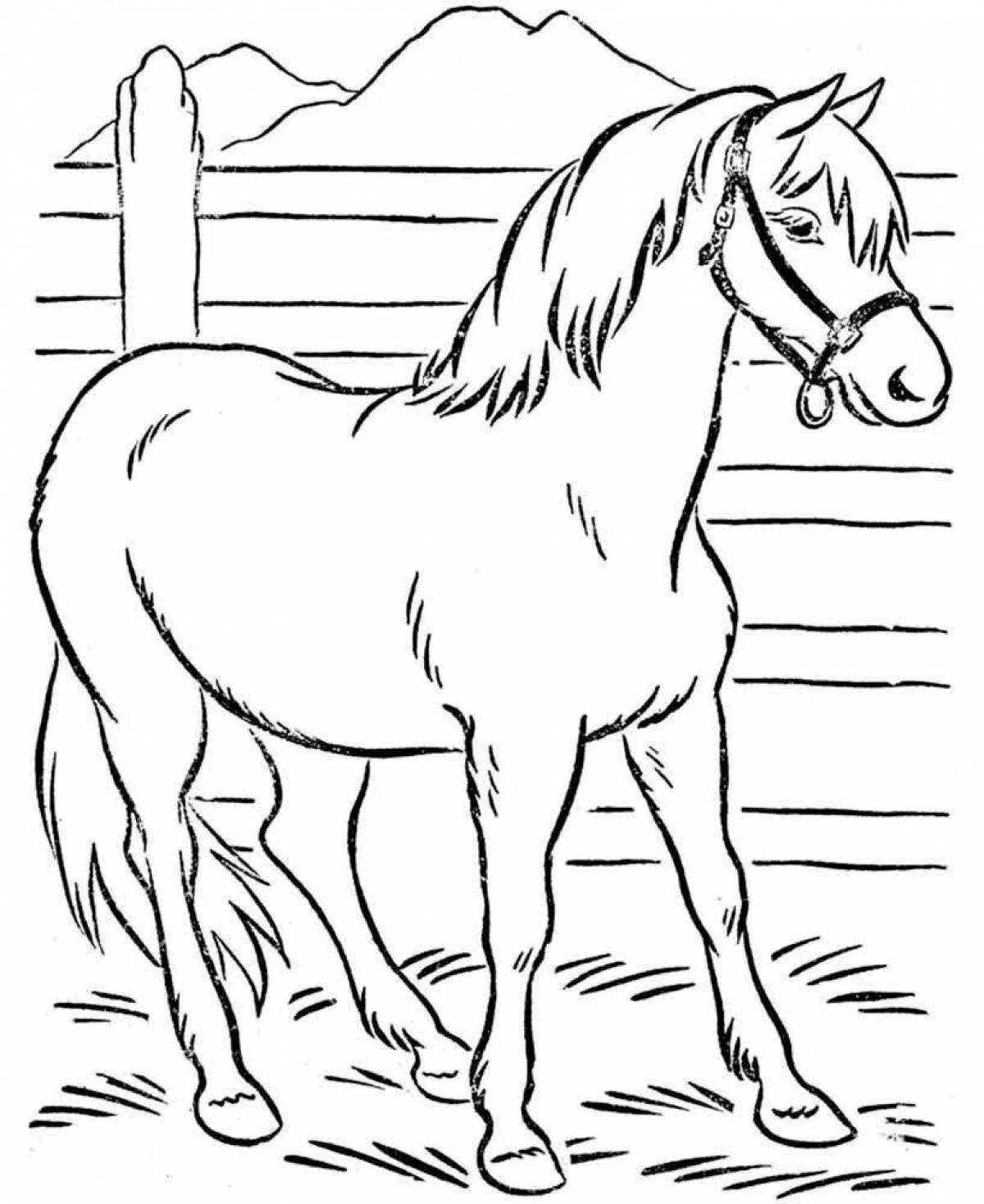 Раскраска «великолепная лошадь» для детей 2-3 лет