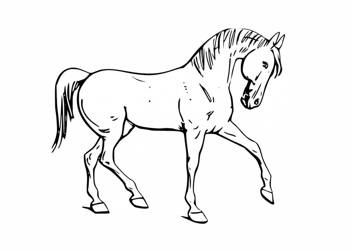 Photo Colorful horse coloring page for 2-3 year olds