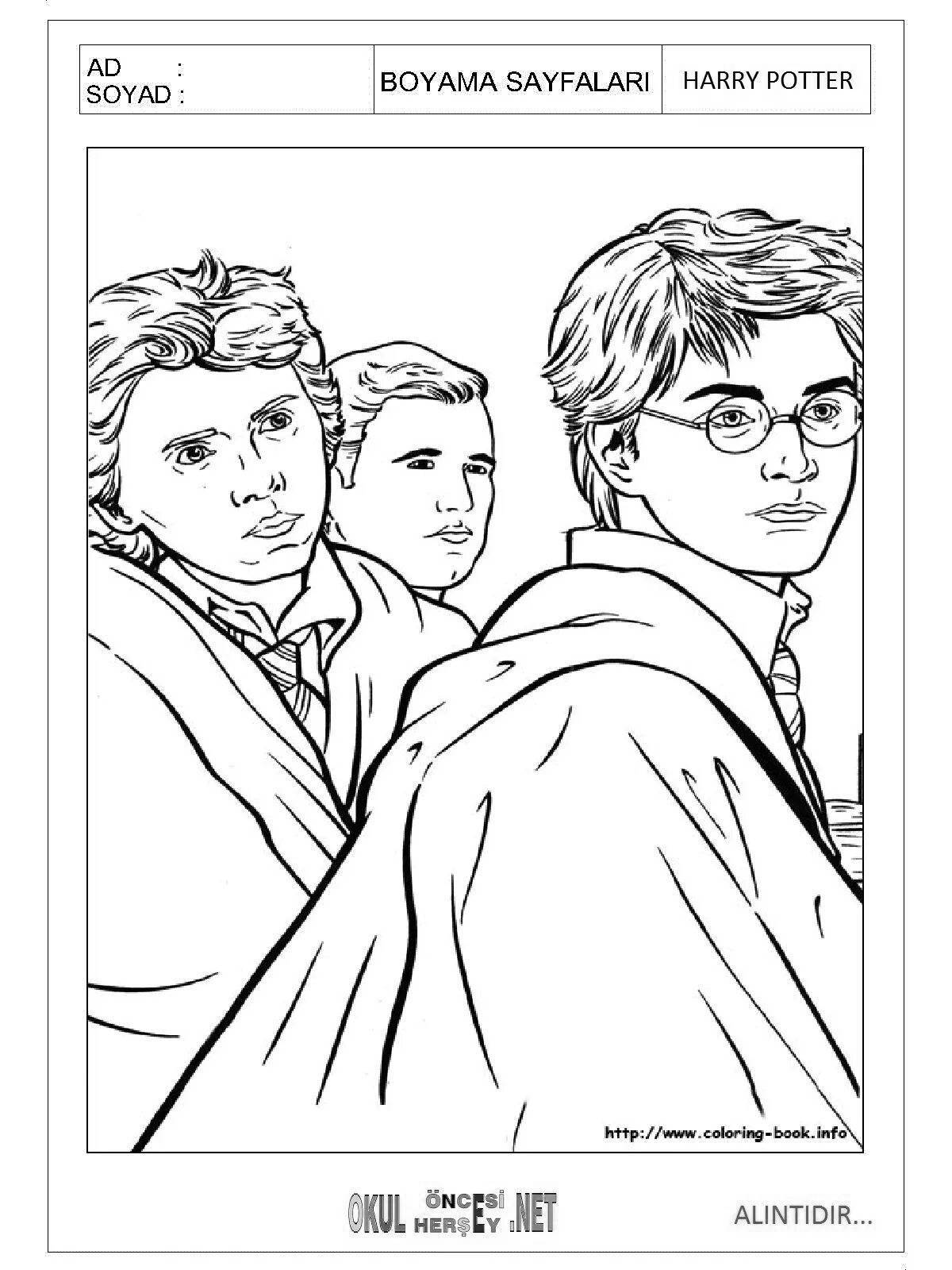 Great coloring harry potter harry ron and hermione