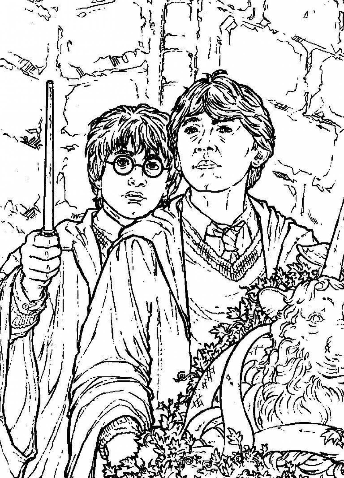 Exotic coloring harry potter harry ron and hermione