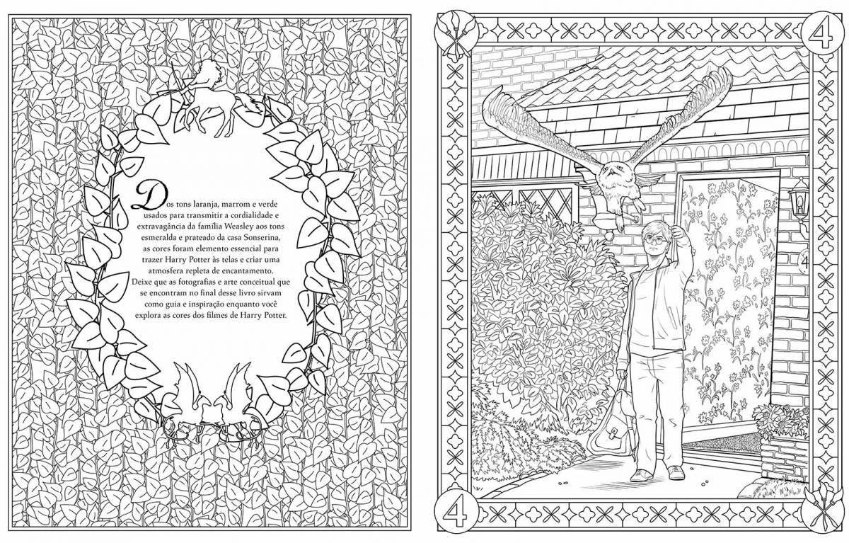 Harry potter wizards wild coloring book