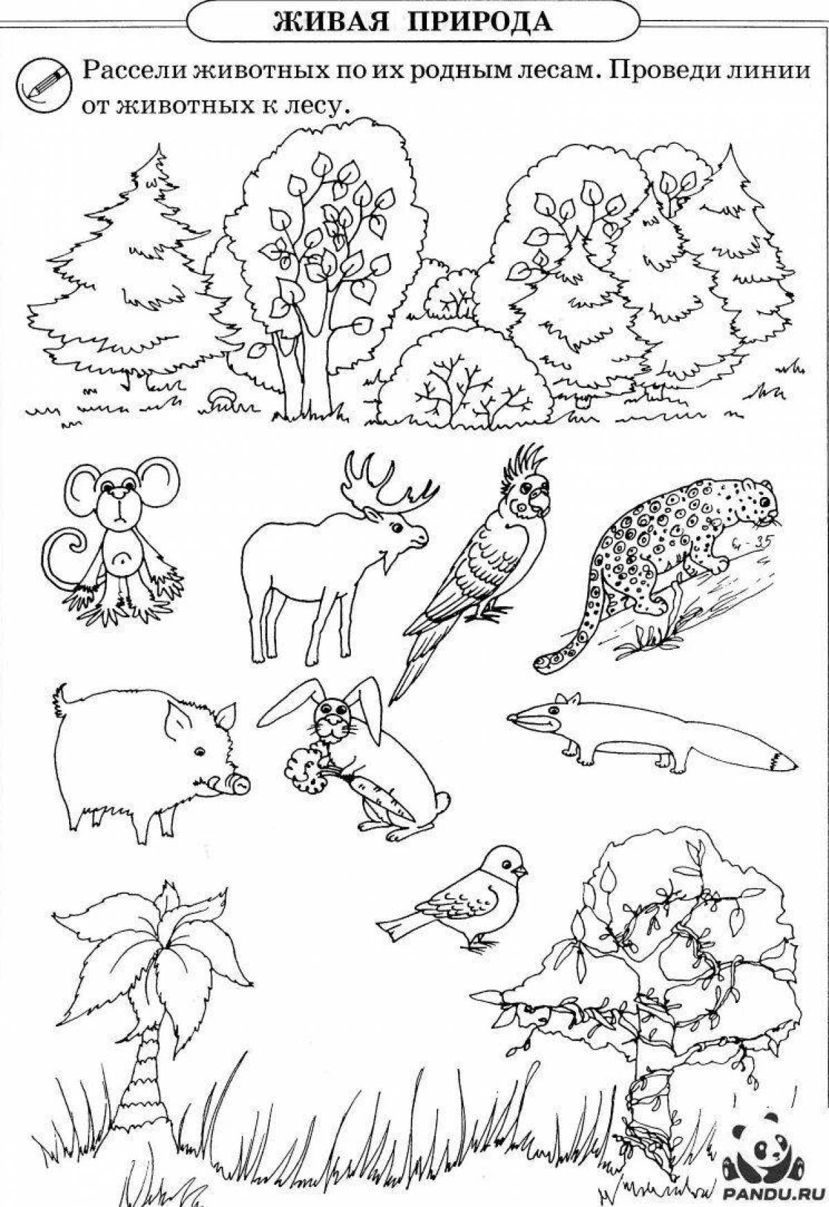 Vibrant trips around the world 1st grade assignment