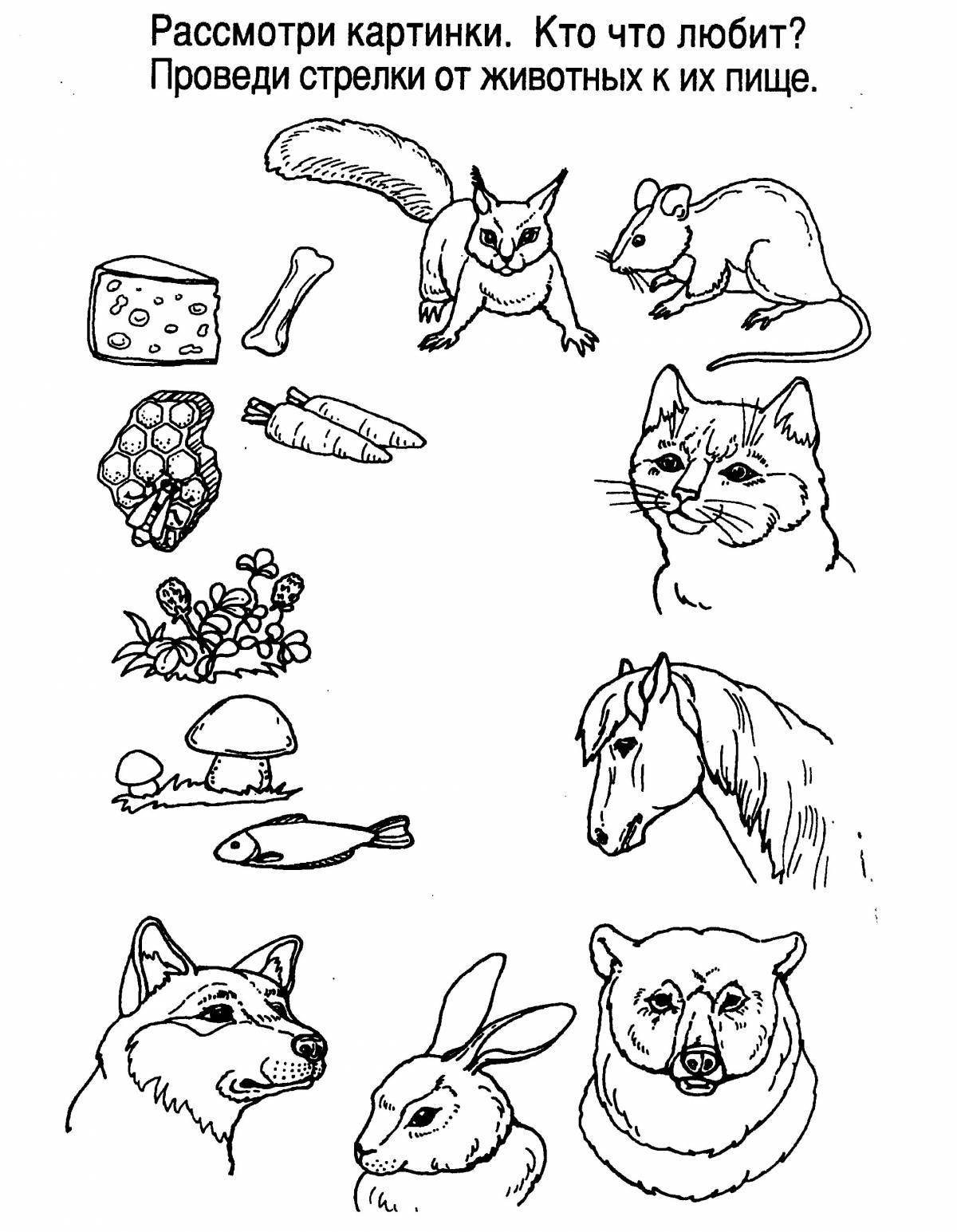 Great trip around the world, 1st grade assignment