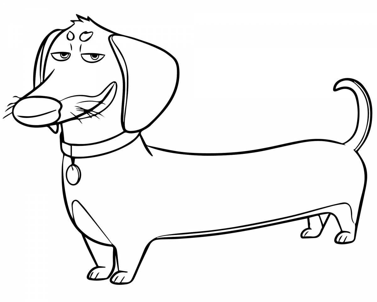 Colouring funny dachshund