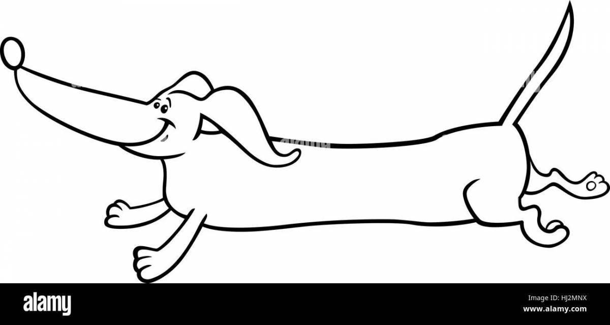 Fancy dachshund coloring page