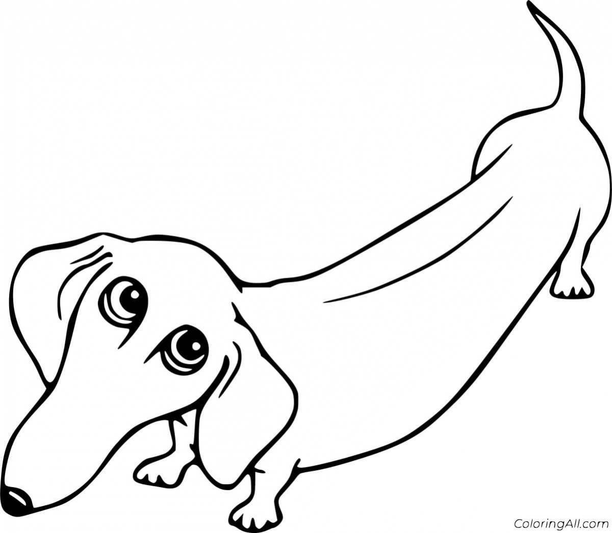 Attractive dachshund coloring page
