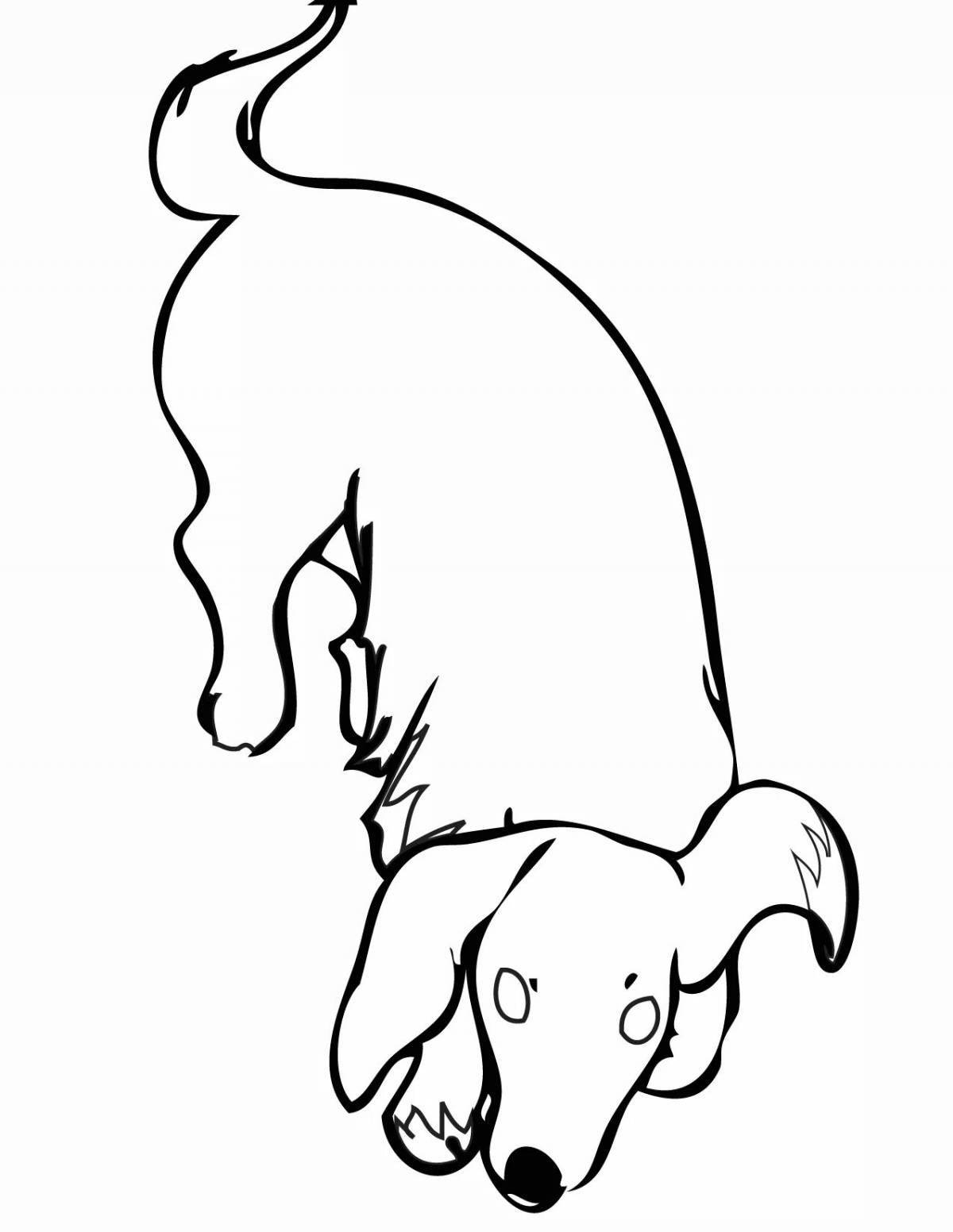 Odd dachshund coloring