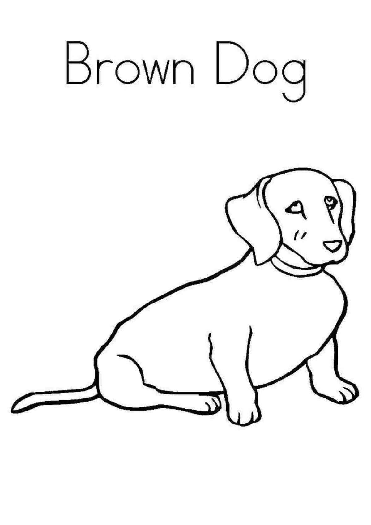 Color-friendly dachshund