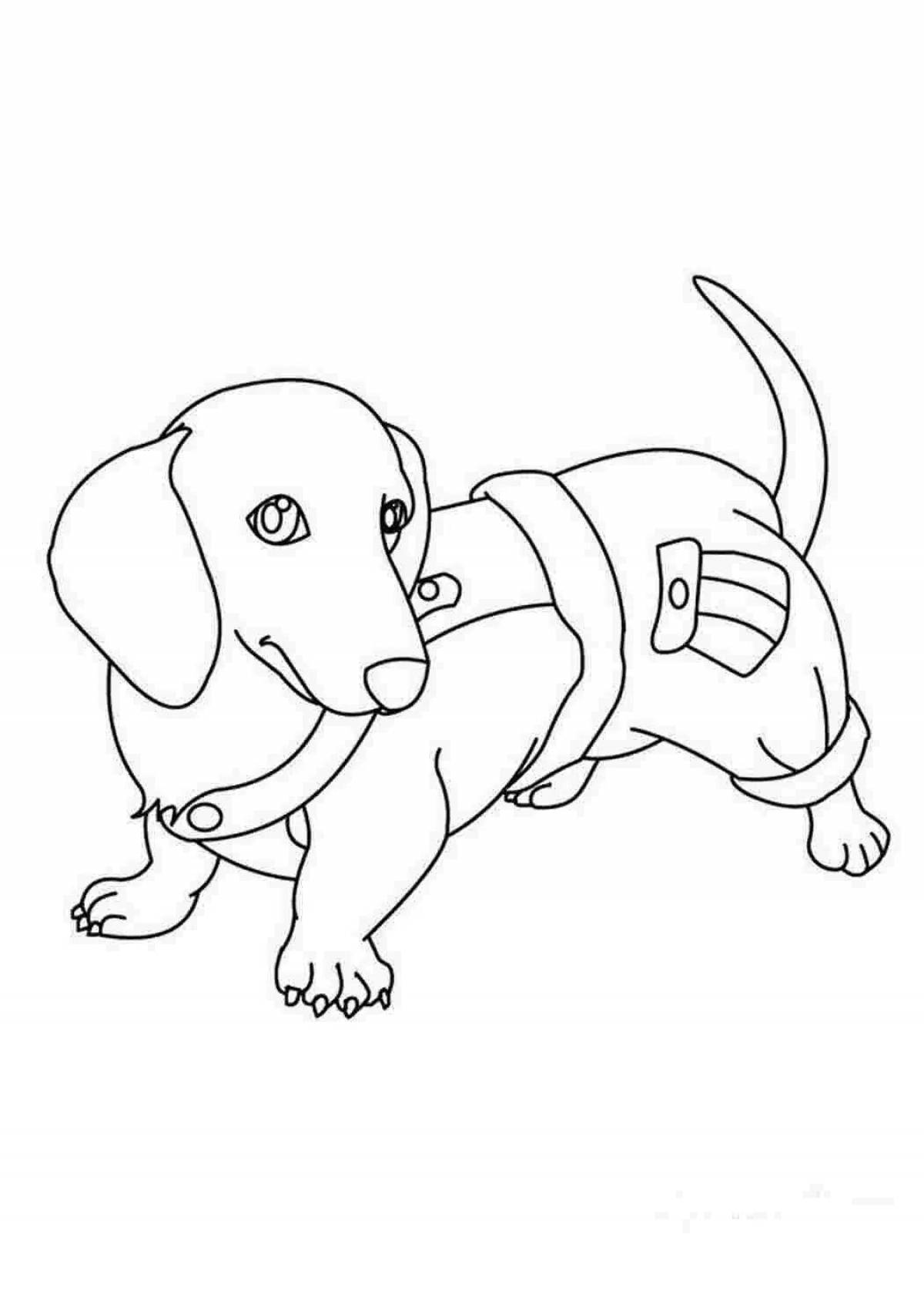 Charming dachshund coloring book
