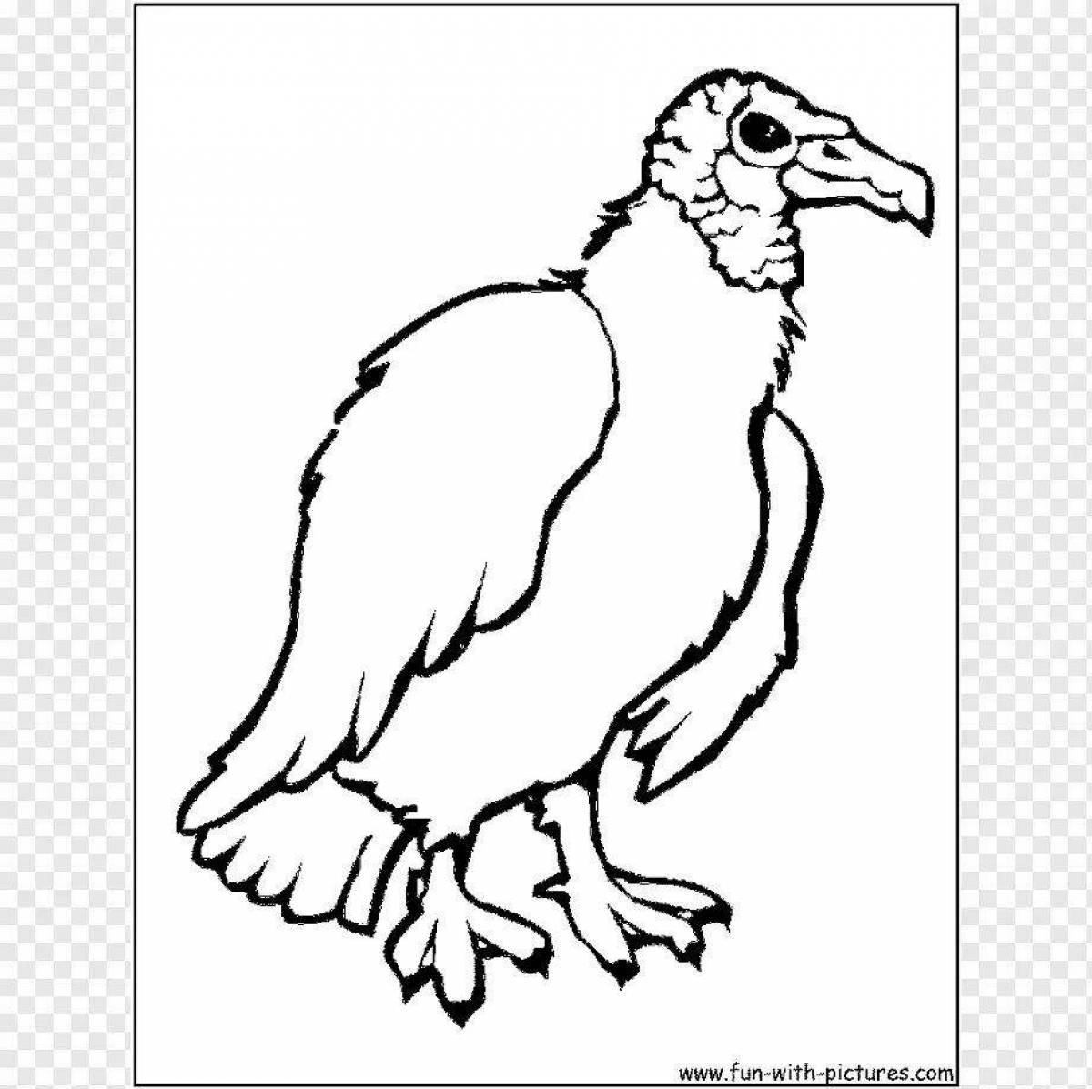 Vulture Fighting Coloring Page