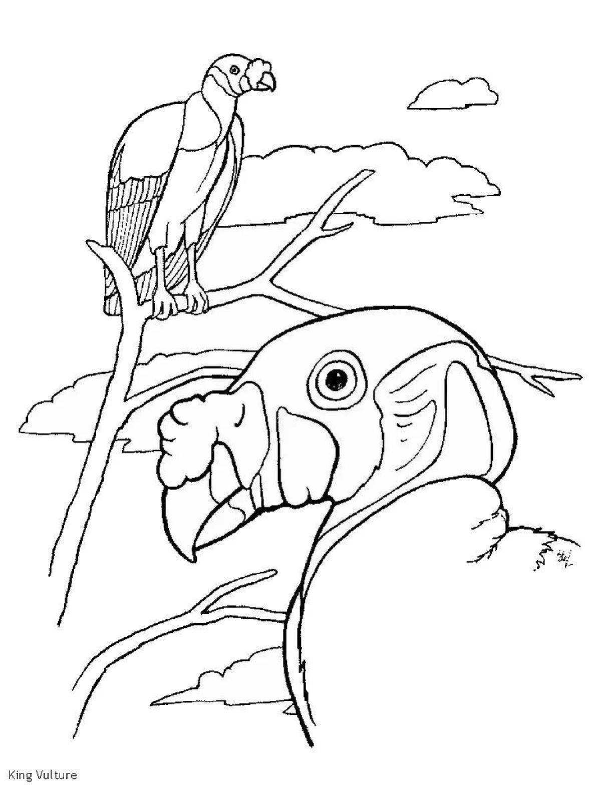 Coloring page nice vulture