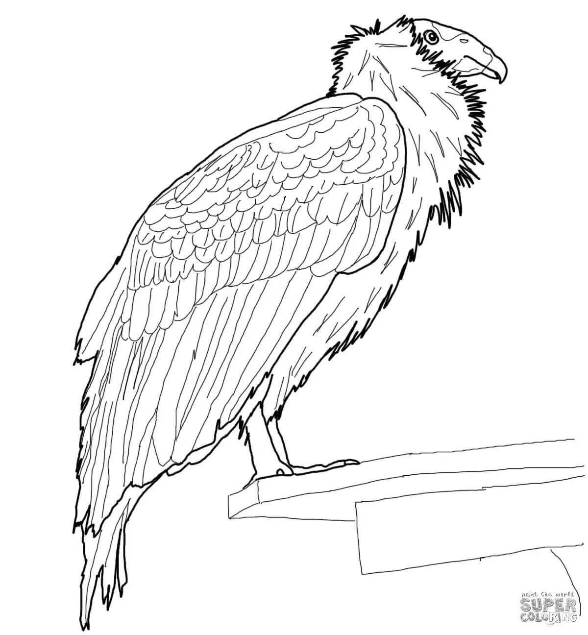 Gorgeous vulture coloring book