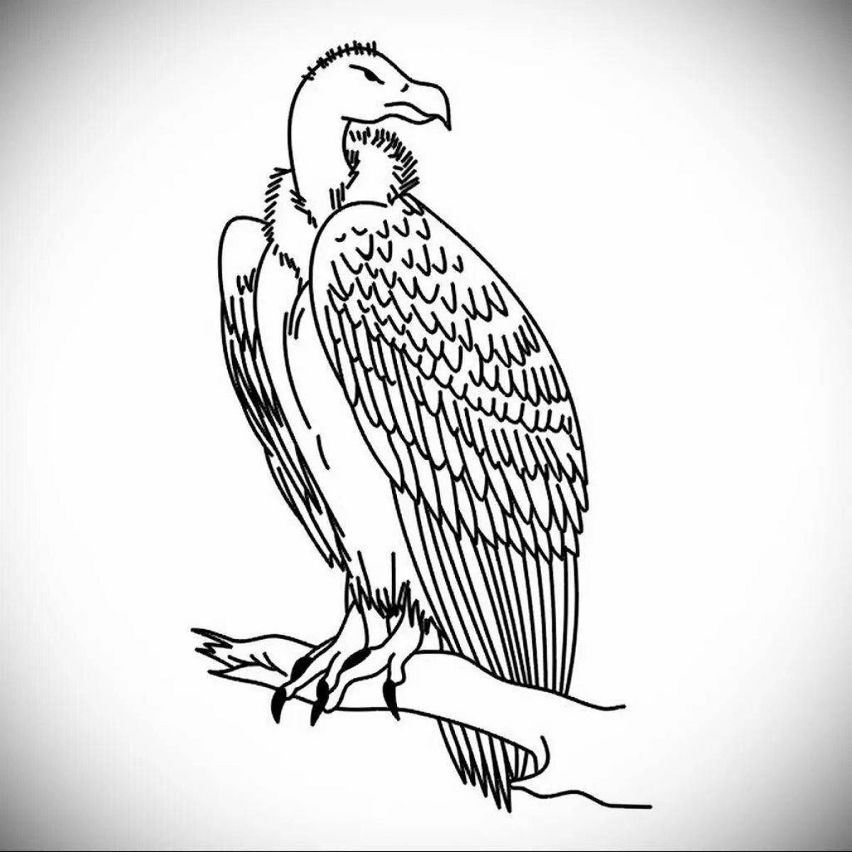 Coloring book shining vulture