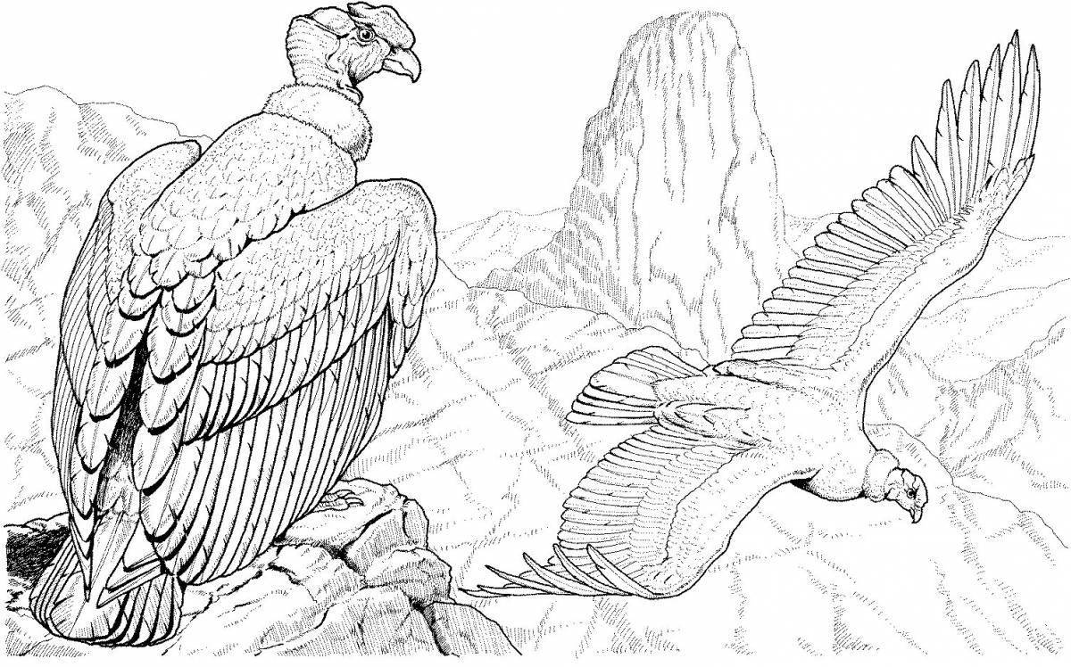 Exquisite vulture coloring